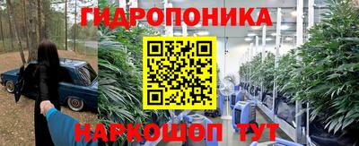 мяу мяу мука Малоярославец