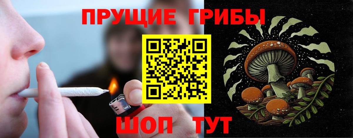 Бузулук  Псилоцибиновые грибы Magic Shrooms  Вход с VPN 